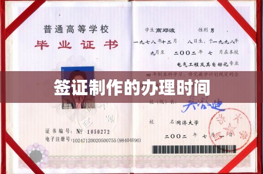 皮山签证制作的办理时间