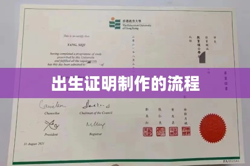 皮山出生证明制作的流程
